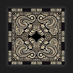 Arthur Stulien // Bandana