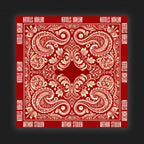 Arthur Stulien // Bandana